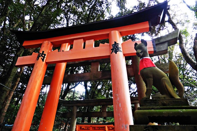 Fushimi Inari-Taisha (Kyoto, Japan)