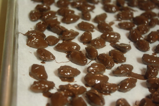 Dark Chocolate Sea Salt Coated Almonds