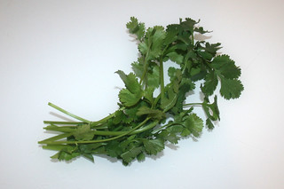 09 - Zutat Koriander / Ingredient coriander