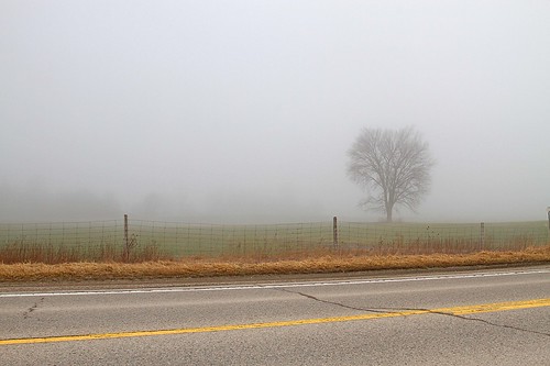 fog longwoodsroad
