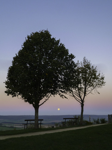 moon tree lune sunrise bench banc beltofvenus ceinturedevénus