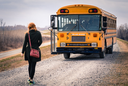 m bluebird schoolbus yellowbus reelfootlakestatepark