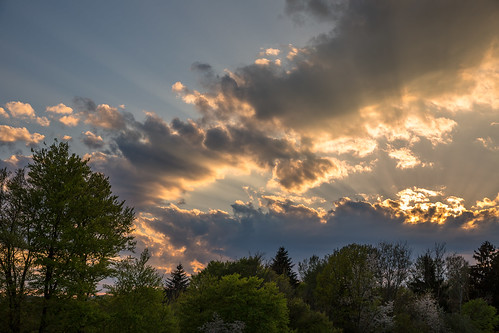 trees sunset clouds österreich spring sonnenuntergang wolken steiermark frühling kumberg hoffeld hartbeigraz grazumgebung cloudsstormssunsetssunrises