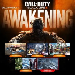 Call Of Duty: Black Ops III: Awakening