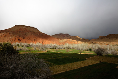 trees winter light shadow sky plants sun mountain storm nature colors weather gardens clouds contrast skyscape landscape cloudy morocco valley surrealist agriculture gorges 500d ultrawideangle dadès sigma816mmf4556 aïtyoul