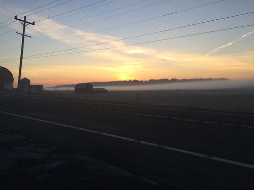 sunrise farm fog