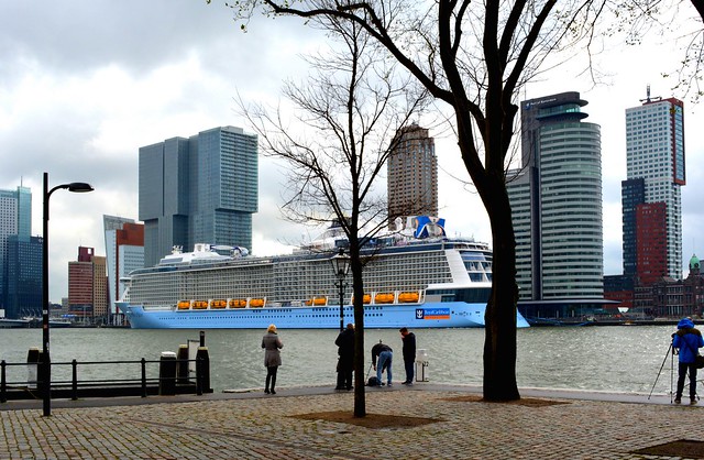 Ovation of the Seas cruiseport Rotterdam