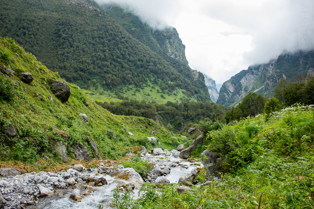 Trek to the Valley of Flowers
