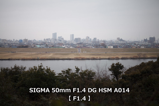 SIGMA vs ZEISS vs CANON” キヤノンEFマウント用50mm単焦点 SIGMA vs ZEISS vs CANON” キヤノンEFマウント用50mm単焦点