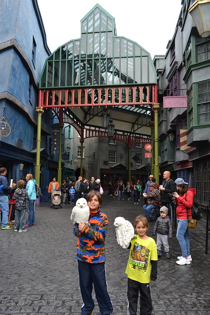 kids with owls at the harry potter world in Universal Studios