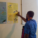 Dugong Launch-reading posters