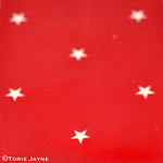 Red & White Star Oilcloth