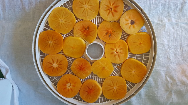 Dried Persimmons made by Mom