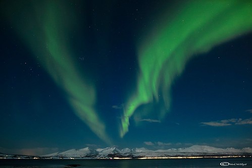 Northern Lights - Tromso
