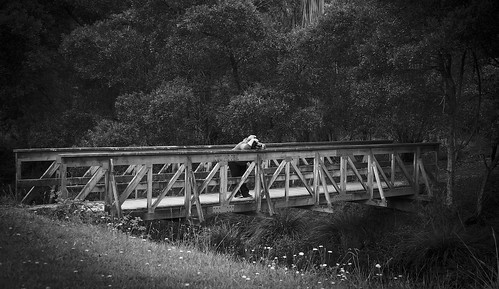 bridge blackandwhite photographer bridges australia victoria reservoir greatoceanroad blackandwhitephotography otway monochromephotography otwayranges barwon otwayrangesnationalpark barwonreservoir