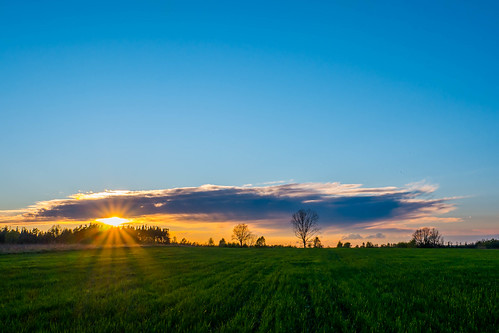 sunset landscape spring polska fujifilm 1650 xa1 krajobraz żary lubuskie