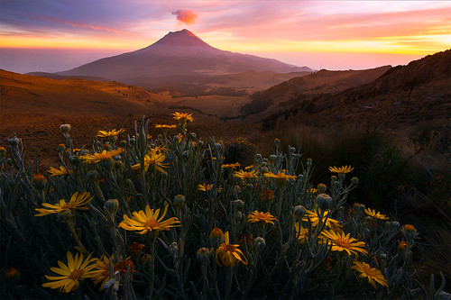 sunset cloud flower last mexico volcano elevation wildflower erupt popocatepetl popo
