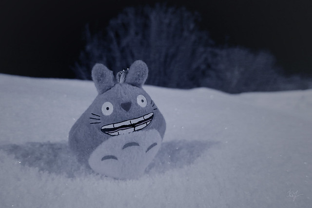 Day #60: totoro visited the 3th layer of Twilight.