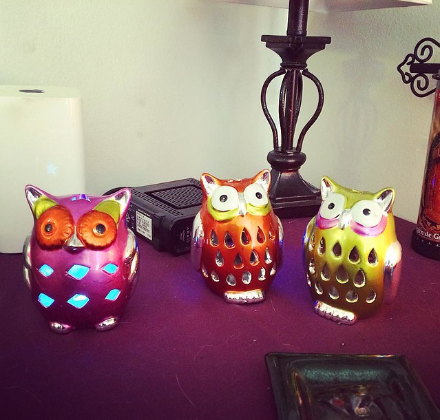 @corinne_spoja's happy little owl collection. 💜