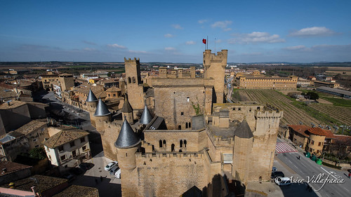 españa castle medieval castillo olite navarra