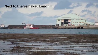 Next to Semakau Landfill, soft corals and fanworms on Terumbu Semakau