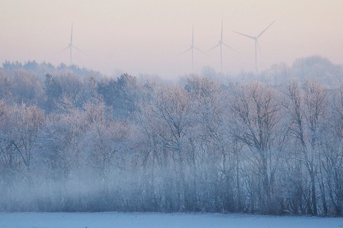 trees winter snow frost turbine challengefactorywinner thechallengefactory