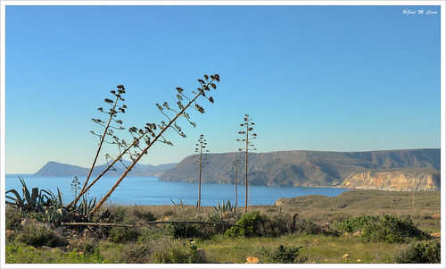 blue sea españa costa azul landscape coast mar spain paisaje almería mediterráneo pita nikond5100