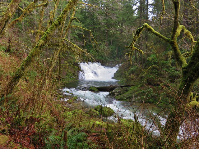 Beaver Creek Falls