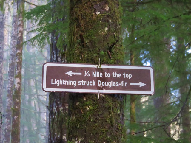 Sign along the Old Growth Ridge Trail