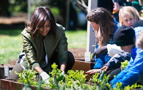 Дружина Обами посадила овочі на грядці Білого дому