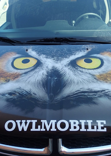 owl owlmobile internationalowlcenter