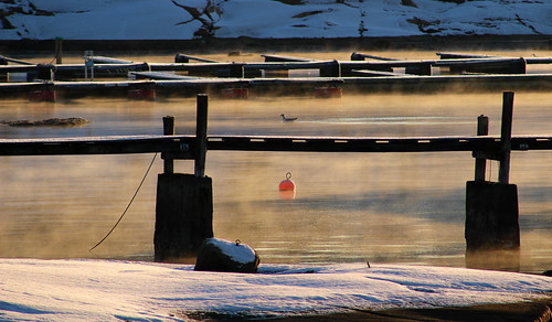 winter sea snow cold bird water sunrise pier frost outdoor seagull smoke pile fjord buoy buoyant