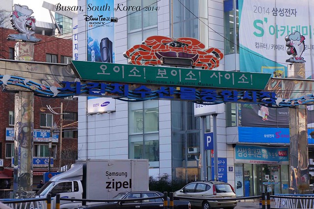 South Korea 2014 - Day 02 Busan Jagalchi Market