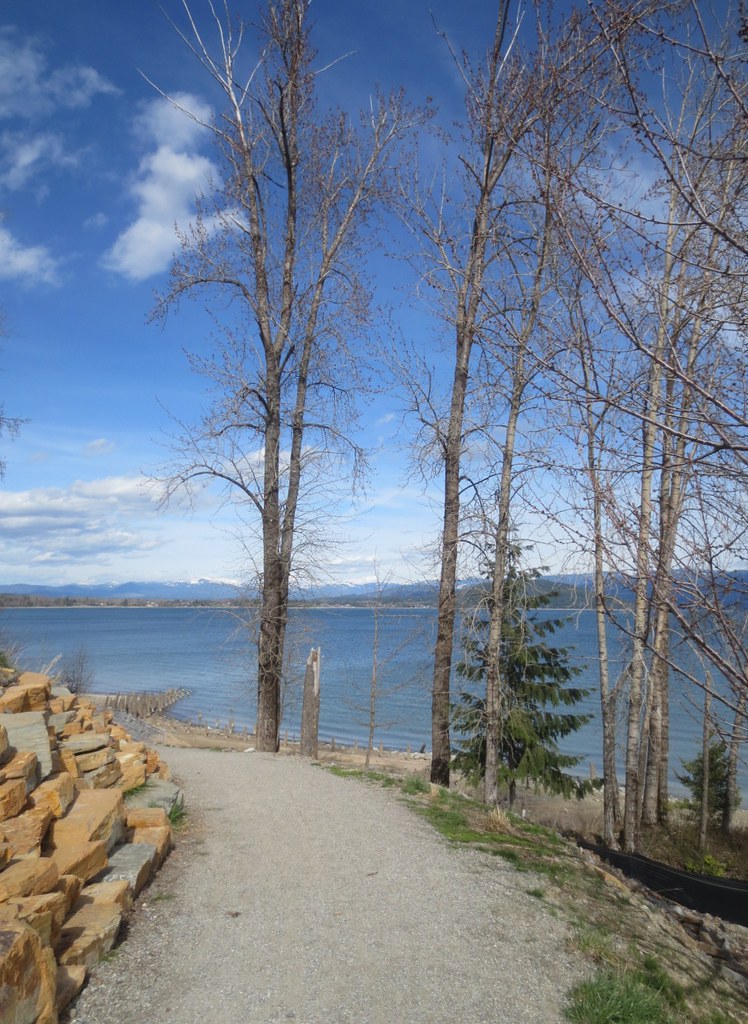 Lakeside trail in town