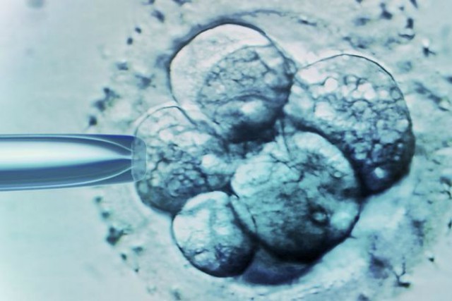 Embryo-selection
