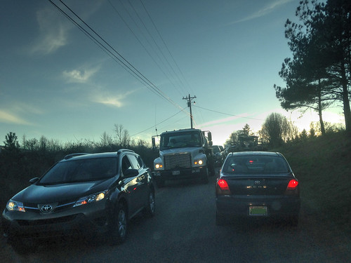 road county bug dead highway alabama scene tussle 58 cullman fatality pronounced