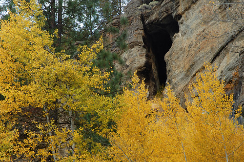fremontwinemanationalforest fremontwinemanf fallcolor autumn cliff geology geological oregon southwesternoregon fremontwinema southcentraloregon usforestservice nationalforest nationalforests autumncolors pacificnorthwest southernoregon fallcolors