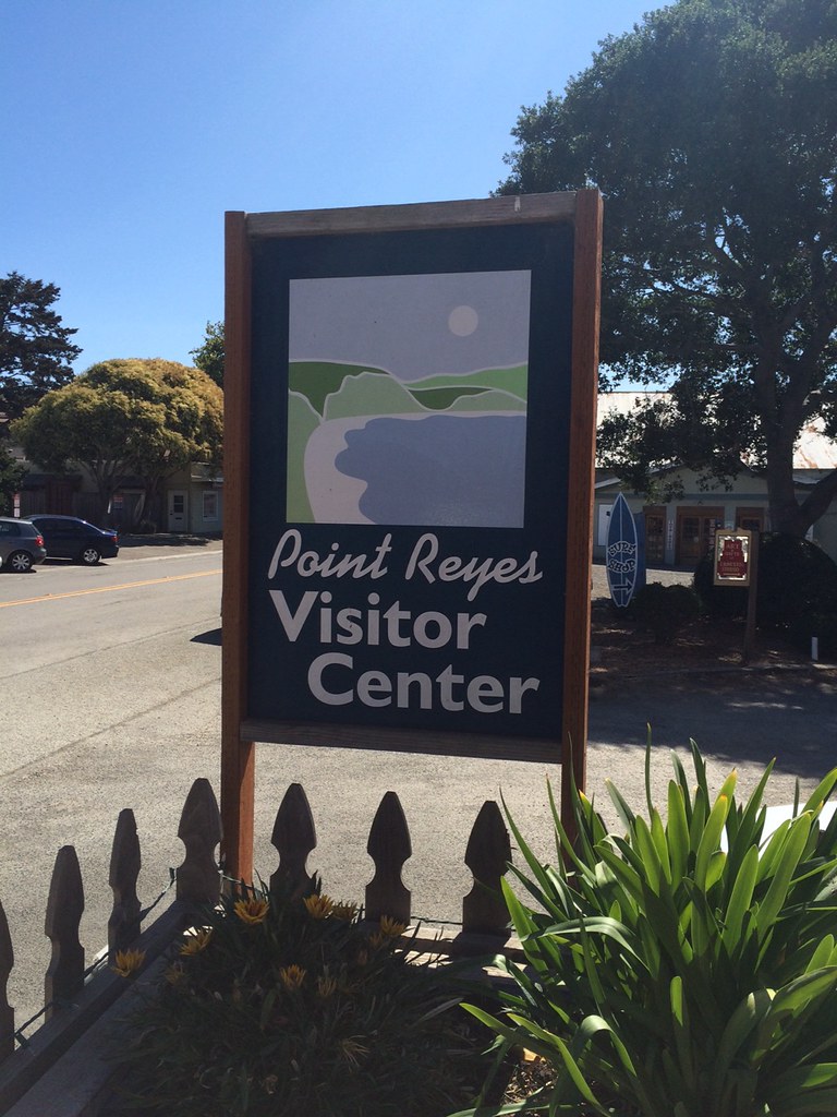 Cowgirl Creamery Tour and Point Reyes 4