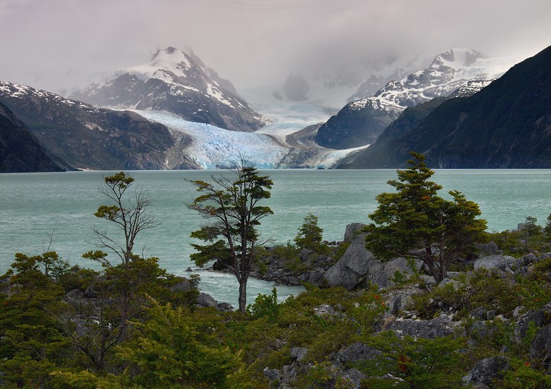 Lago y glaciar Leones (Campo patagónico de Hielo Norte) - Por el sur del mundo. CHILE (14)