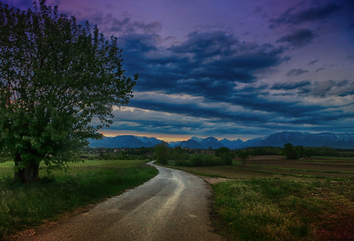 landscape country countryside fagagna feagne friuli italia bluesky bluehour clouds sky tree sunset road countryroad italy