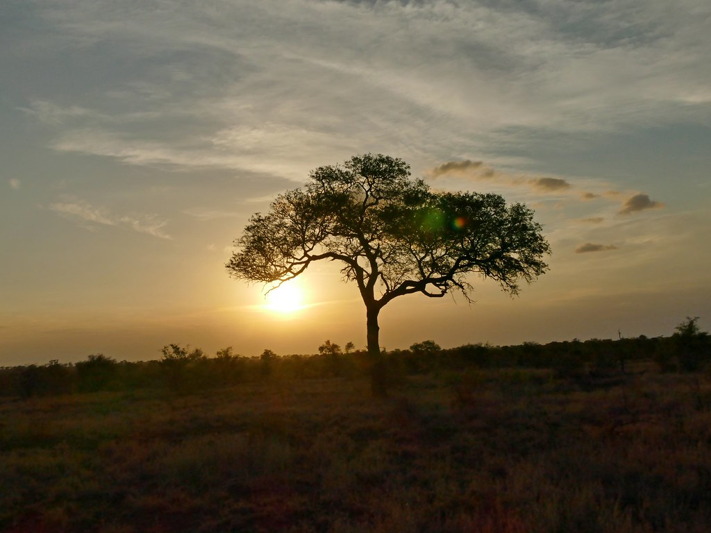 coucher de soleil sur l'Afrique du sud 24661991370_49cf6e46d8_b