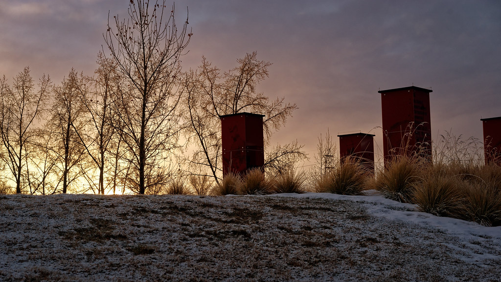 Frosty Morning — Near Fort Calgary