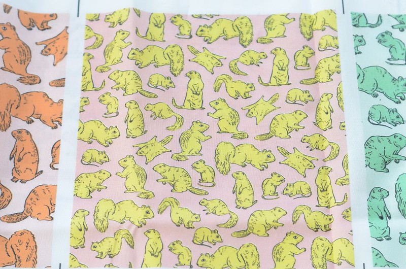 Rodents / Gnawers Fabric