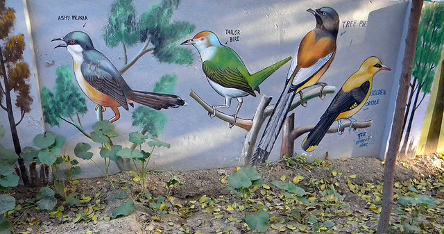 One of a series of painted mural to help identify the birds of Agra, India