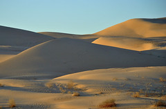 Hills formed by the wind blowing sand.