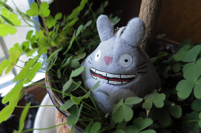 Day #107: totoro is glad that sometimes there is no need to leave the house