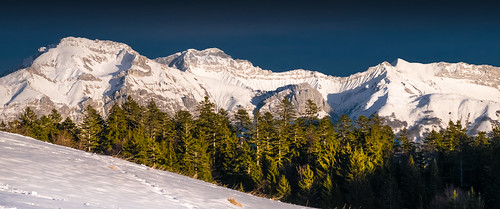 winter sunset snow alps tree nature montagne alpes landscape neige 43 bauges gm1 trelod arcalod