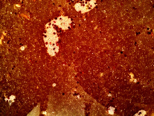 Closeup of Ana's Quinoa Poopy Slush (March 11 2015)