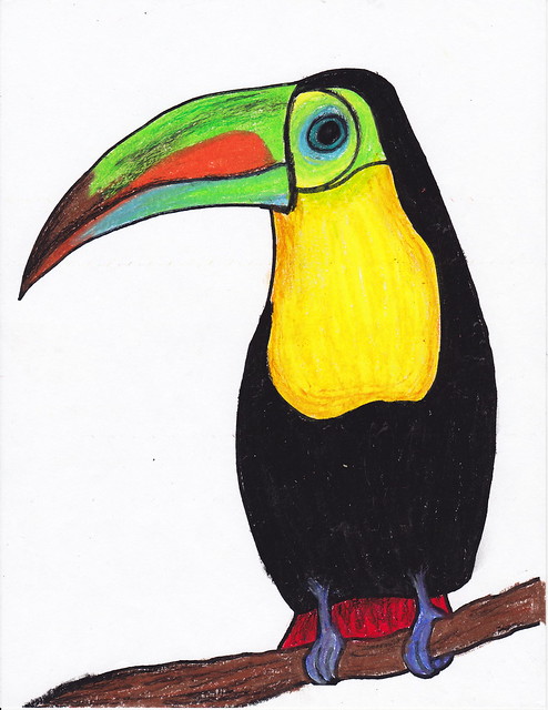 Toucan Completed Sample