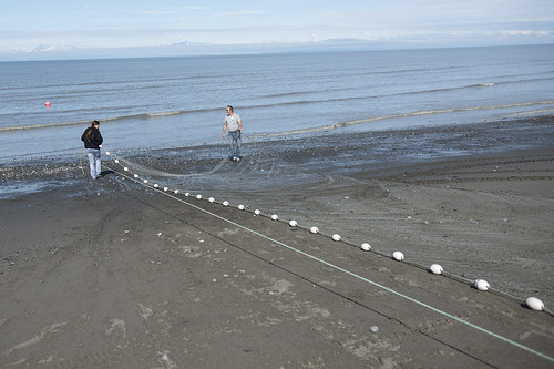 Julianne Wilson and George Showalter set the tribal net into Cook Inlet.